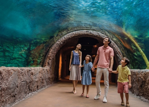 リバーワンダー